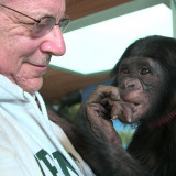 Attorney Steve Wise with Teco, a bonobo at the Iowa Great Ape Trust. (Photo courtesy of Pennebake...