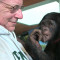 Attorney Steve Wise with Teco, a bonobo at the Iowa Great Ape Trust. (Photo courtesy of Pennebake...